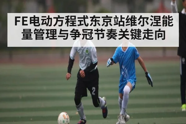 FE电动方程式东京站维尔涅能量管理与争冠节奏关键走向